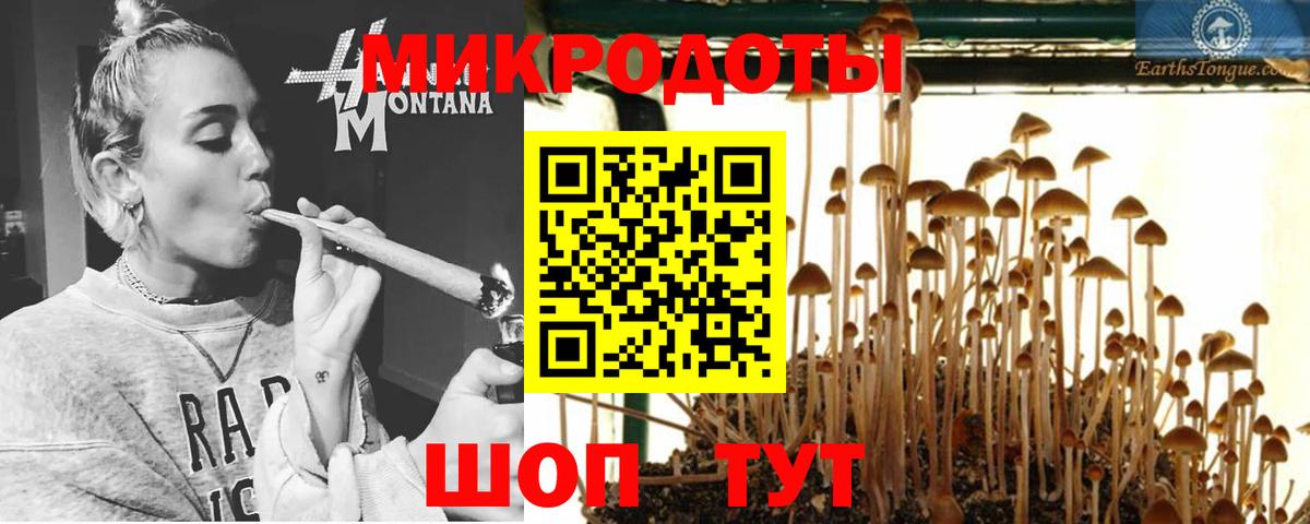 Обь  Псилоцибиновые грибы ЛСД  Псилоцибиновые грибы Psilocybine cubensis  Вход с VPN 